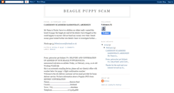 Desktop Screenshot of beaglepuppyscam.blogspot.com