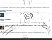 Tablet Screenshot of colorquideas.blogspot.com