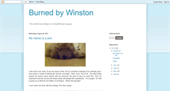 Desktop Screenshot of burnedbywinston.blogspot.com