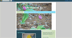 Desktop Screenshot of ladyslipperlife.blogspot.com