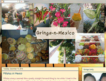 Tablet Screenshot of gringa-n-mexico.blogspot.com