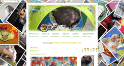 Desktop Screenshot of hamstertroy.blogspot.com