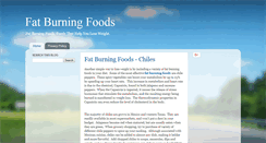 Desktop Screenshot of fatburningfoodsonline.blogspot.com