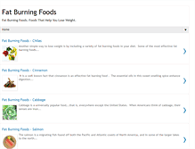 Tablet Screenshot of fatburningfoodsonline.blogspot.com