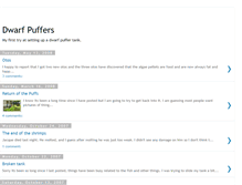 Tablet Screenshot of dwarfpuffers.blogspot.com