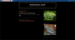 Desktop Screenshot of madhighmagazine.blogspot.com