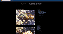 Desktop Screenshot of faunadefuerteventura.blogspot.com