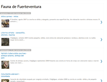 Tablet Screenshot of faunadefuerteventura.blogspot.com