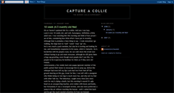 Desktop Screenshot of captureacollie.blogspot.com