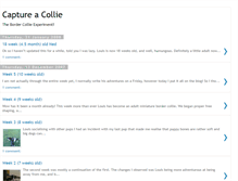 Tablet Screenshot of captureacollie.blogspot.com