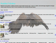 Tablet Screenshot of pemikat-tekukur.blogspot.com